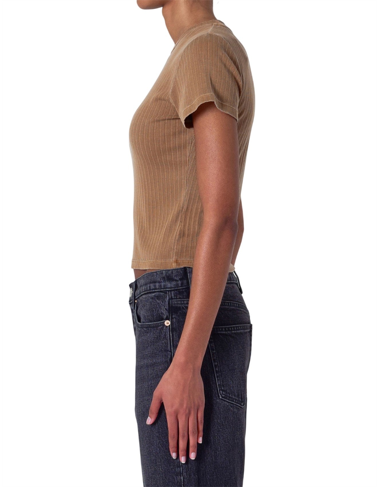 Classic Tee Rib - Teddy