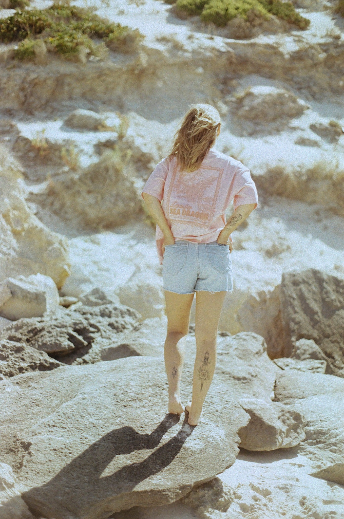 Stamp Series Unisex Boxy Tee - Leafy Sea Dragon