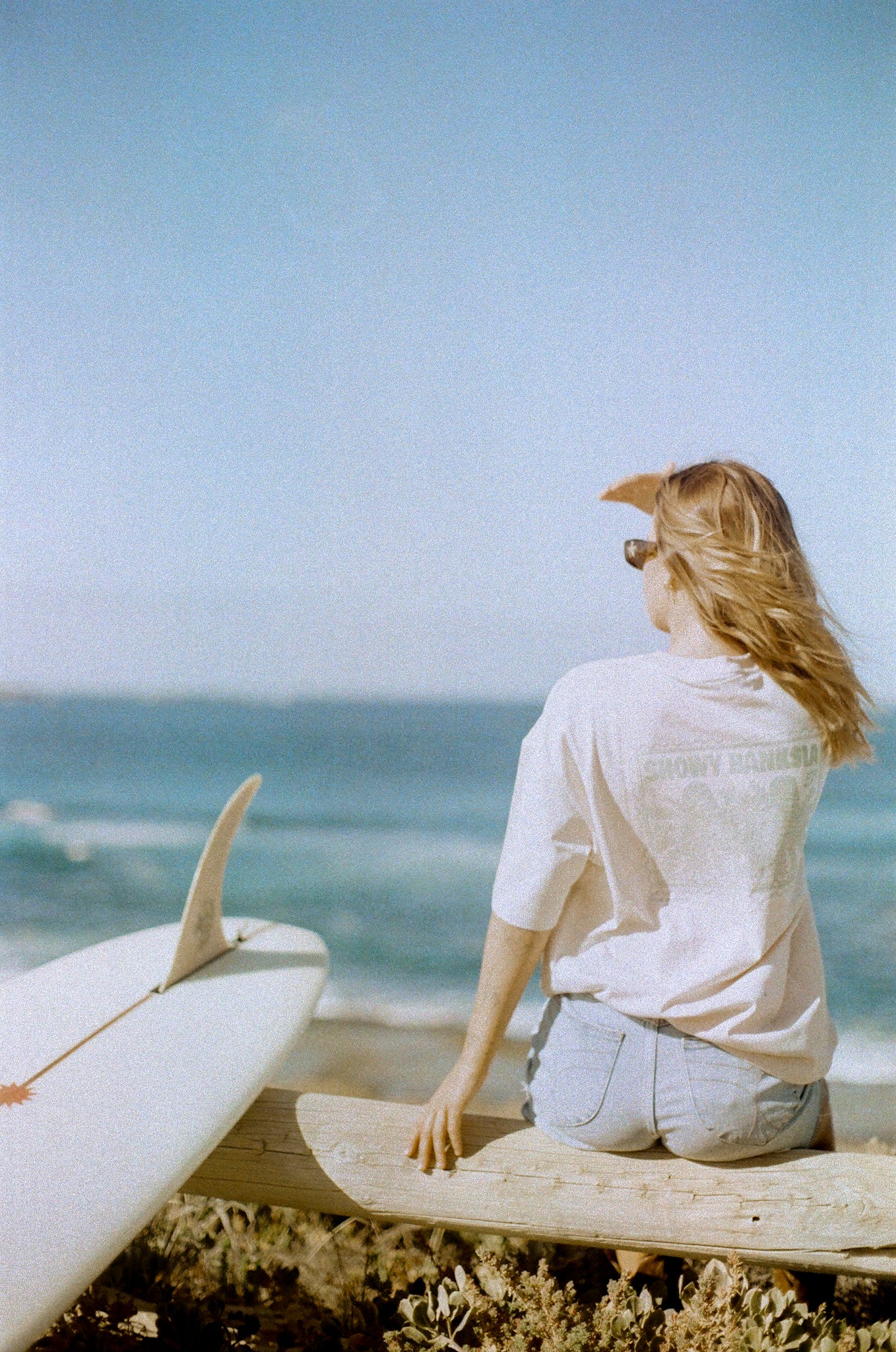 Stamp Series Unisex Boxy Tee - Showy Banksia