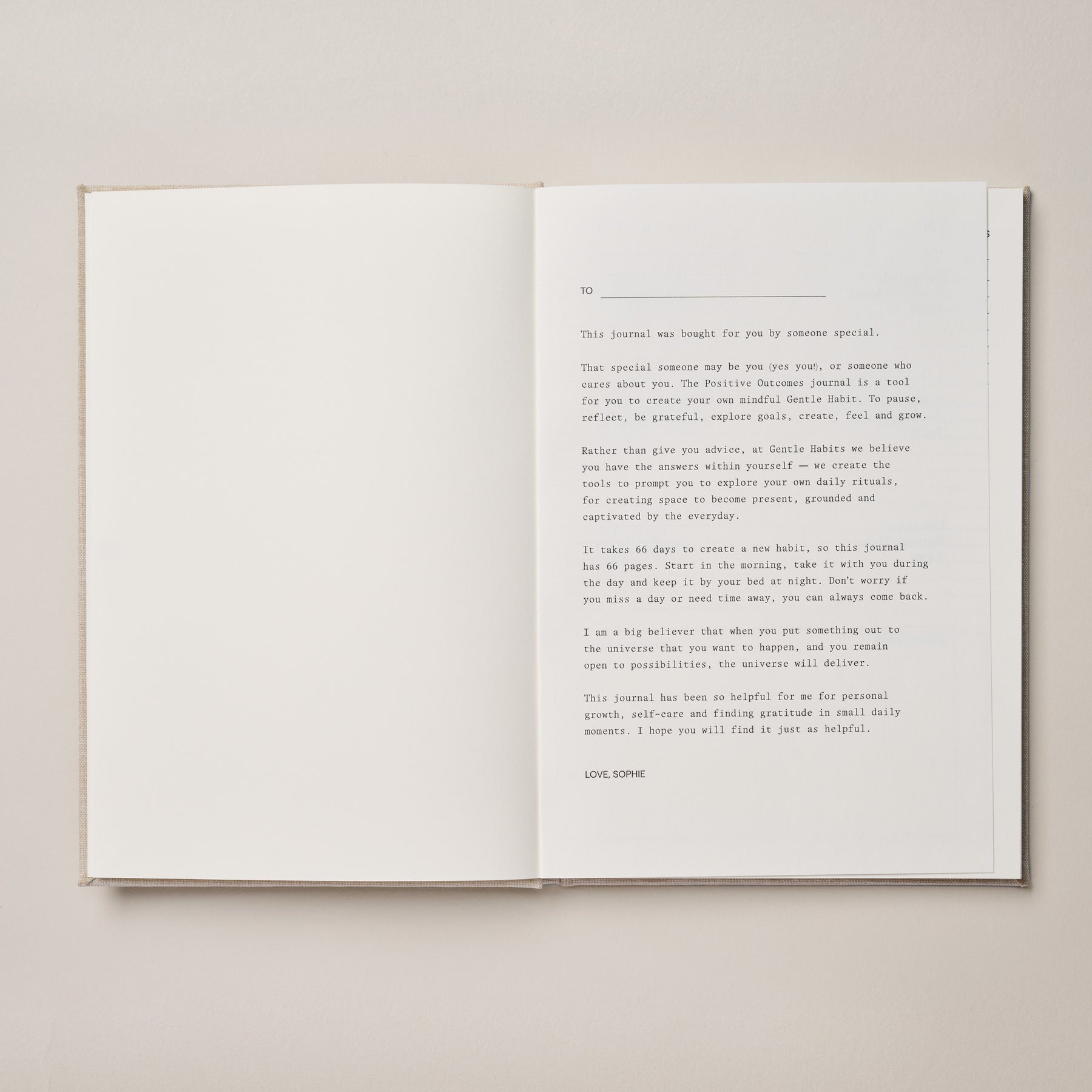 Positive Outcomes Journal - White