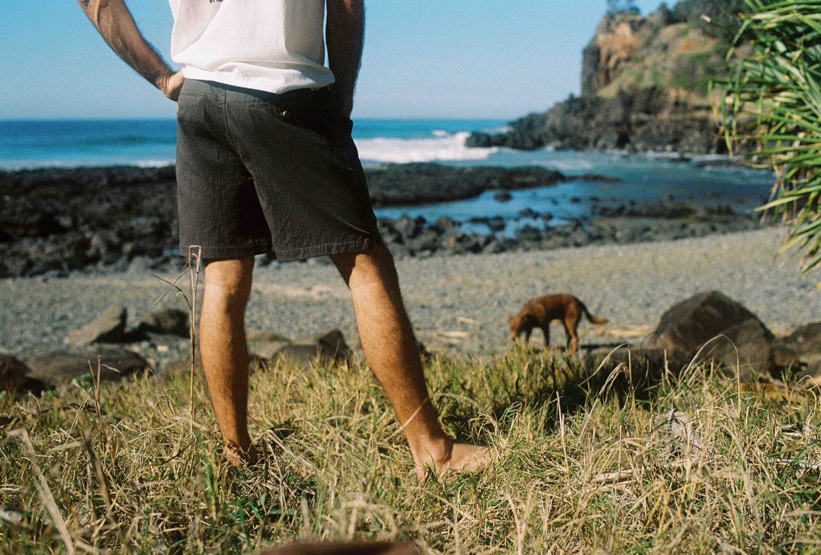 Equinox Walkshorts - Charcoal