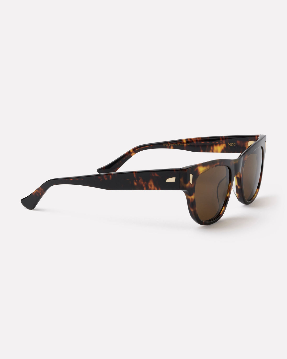 Non - Tortoise Polished / Bronze Polarised